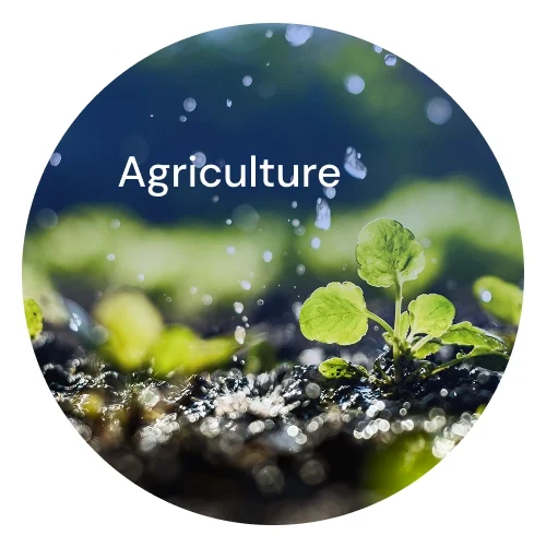 Small plant growing out of soil with text "Agriculture" overlaying it.